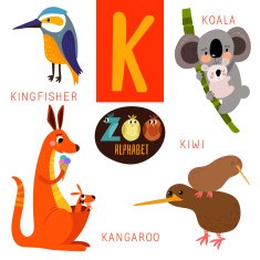 Cute zoo alphabet in vector K letter Funny cartoon animals N2