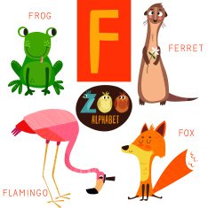 Cute zoo alphabet in vector F letter Funny cartoon animals N2