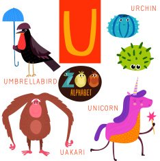 Cute zoo alphabet in vector U letter Funny cartoon animals N2