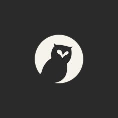 Owl Icon N14