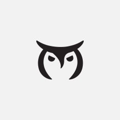Owl Icon N15