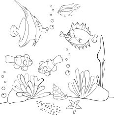 Coloring with Tropical Fish N2