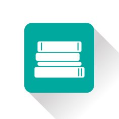Vector flat icon N2