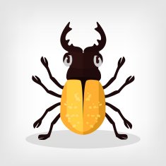 Vector beetle flat illustration N3