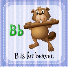 Beaver N4