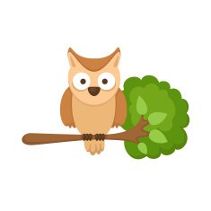 owl sitting on tree branch