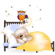 The bear sleeps