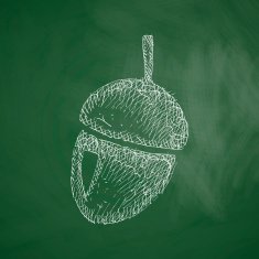 Acorn Icon N6