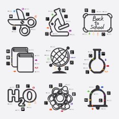 Education Infographic N113