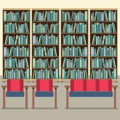 Reading Seats In Front Of A Bookcase N2