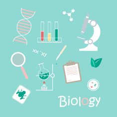 Vector Set Science Lab Objects and Icons
