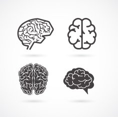 Brain - set of vector illustrations and icons