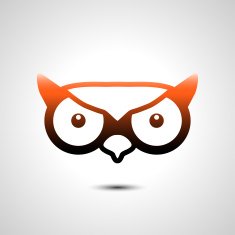 Owl Icon N17