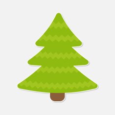 Fir tree Christmas Isolated N2