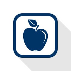apple flat icon