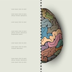 Concept of human brain