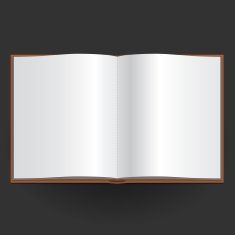 Vector blank open book N2