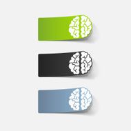 realistic design element brain N12
