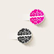 realistic design element brain N14