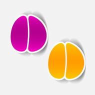 realistic design element brain N15