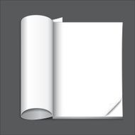 blank magazine page N2