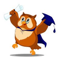 owl graduate N2