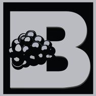 letter B for blackberry N2