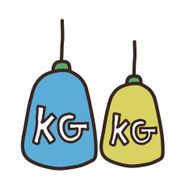 icon weight N2