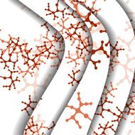 Dna colorful illustration N22