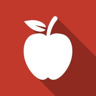 Apple Icon N9