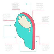 infographic made of Human head