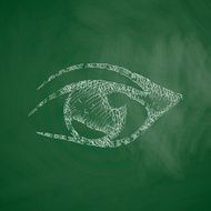 Eye Icon N12