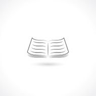 Open Book Icon N25