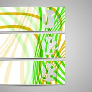 Vector web element for your design N12