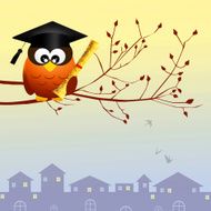 owl graduate N3