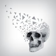 triangle human skull