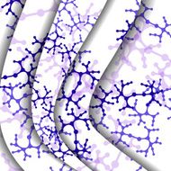 Dna colorful illustration N58