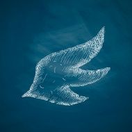 wing icon N5