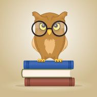 Wise Owl N16