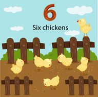 Illustrator of number six chickens