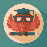 Owl in graduation cap N2
