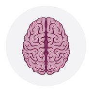 Isolated human brain