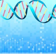 DNA N5