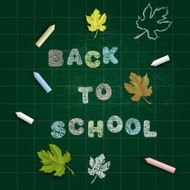 Back To School Background N301