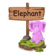 animal alphabet letter E for elephant N2