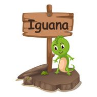 animal alphabet letter I for iguana N2