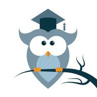 Owl Vector N4