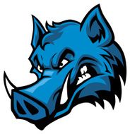 wildboar head mascot