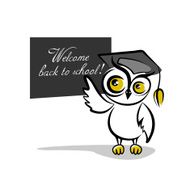 Owl and a blackboard isolated on white background