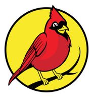 cardinal bird